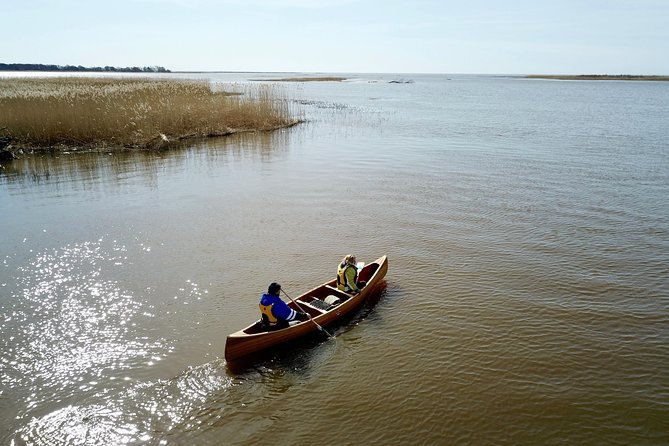 birdwatch-premium-guided-canoe-tour-at-cape-vente-nemunas-delta-regional-park