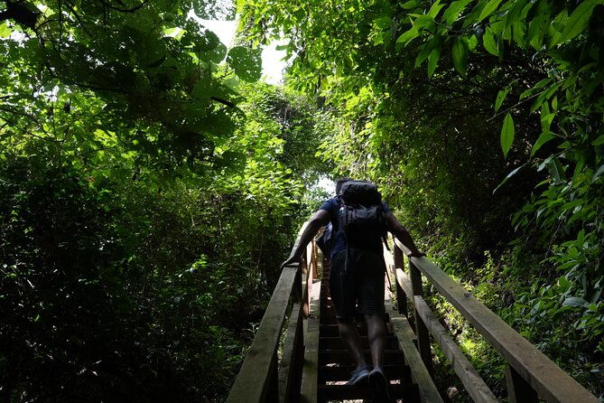 birdwatching-and-scenic-trail