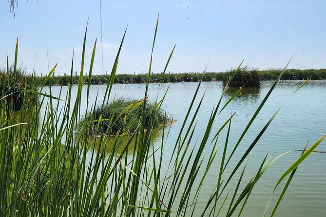 birdwatching-and-trekking-in-lima-city