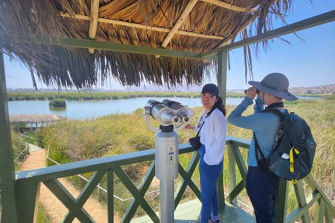 birdwatching-and-trekking-in-lima-city