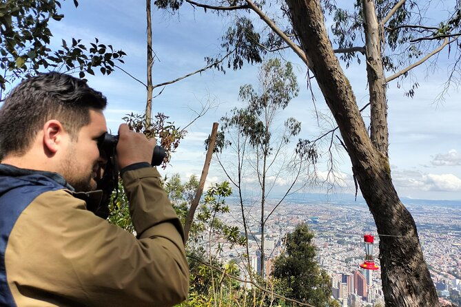birdwatching-at-monserrate-bogota-4h