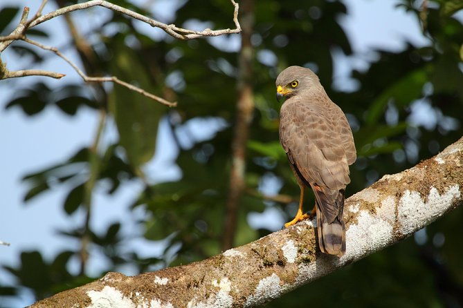 birdwatching-at-mundo-aventura-natural-park