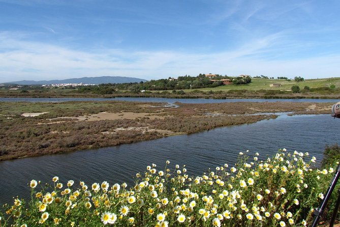birdwatching-at-ria-de-alvor