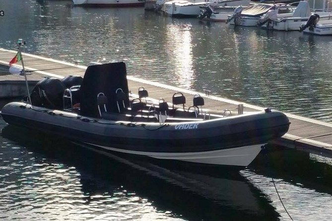 birdwatching-boat-tour-so-close-to-lisbon