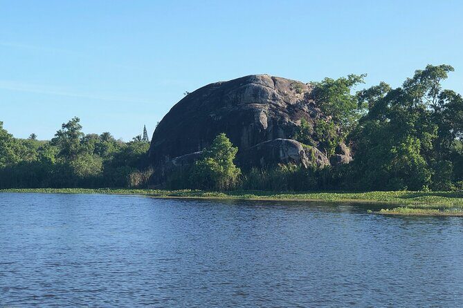 Birdwatching by Boat at Kalametiya Sanctuary - Practical Details and Booking Considerations