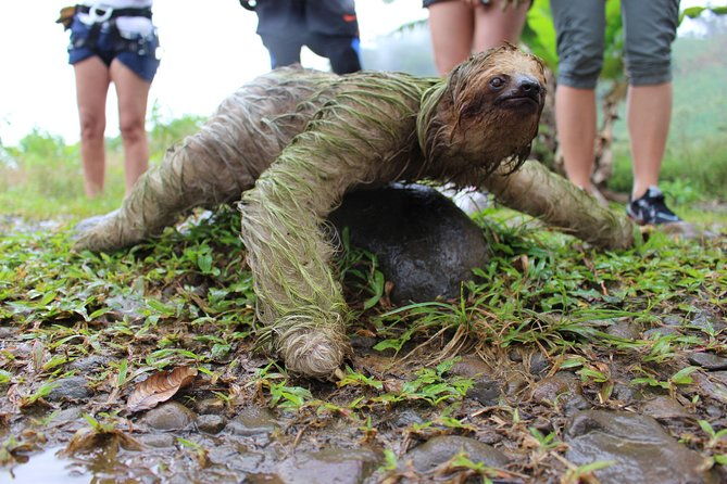 birdwatching-by-the-lake-arenal