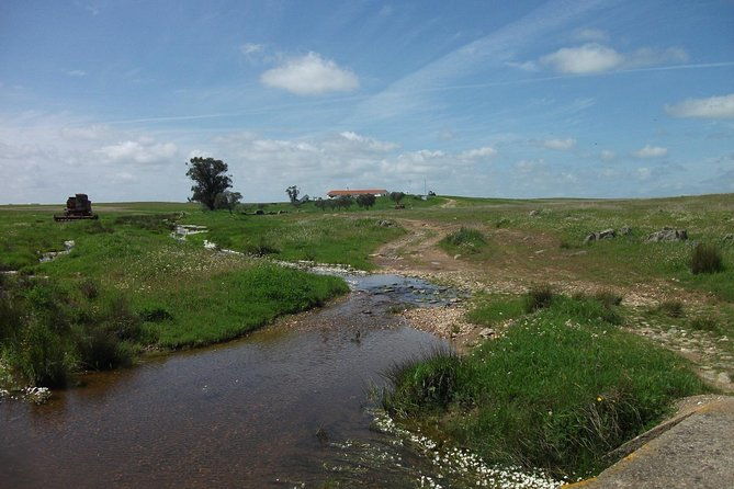birdwatching-day-around-castro-verde