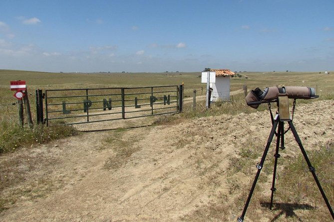 birdwatching-day-around-castro-verde