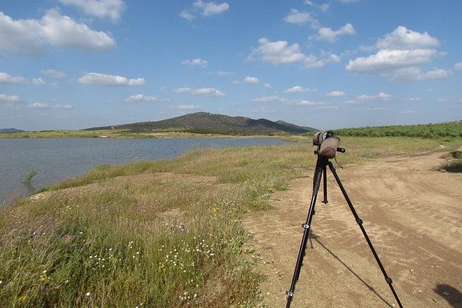 birdwatching-day-around-castro-verde