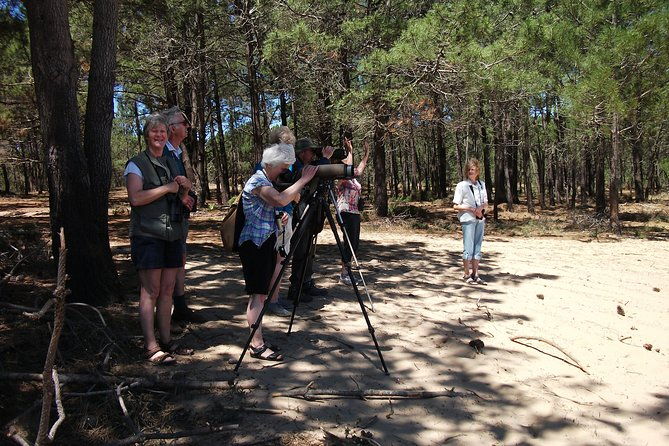 birdwatching-day-around-sagres