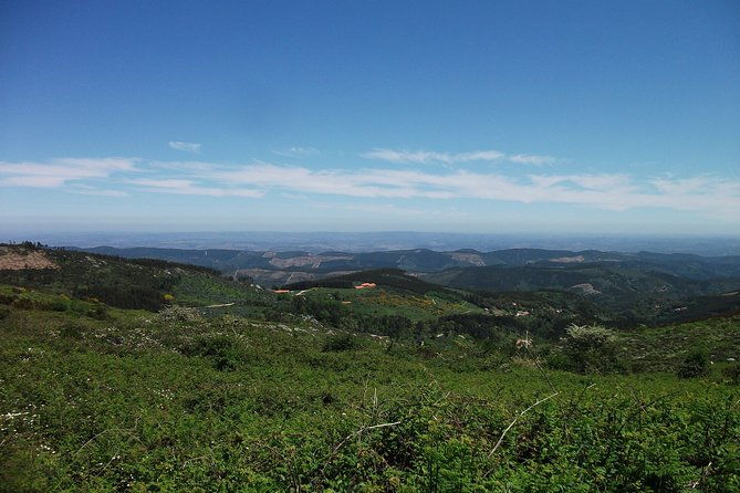 birdwatching-day-in-the-monchique-hills
