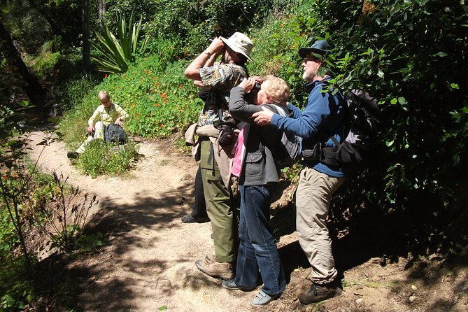 birdwatching-day-in-the-monchique-hills