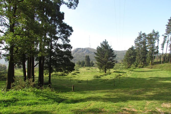 birdwatching-day-in-the-monchique-hills