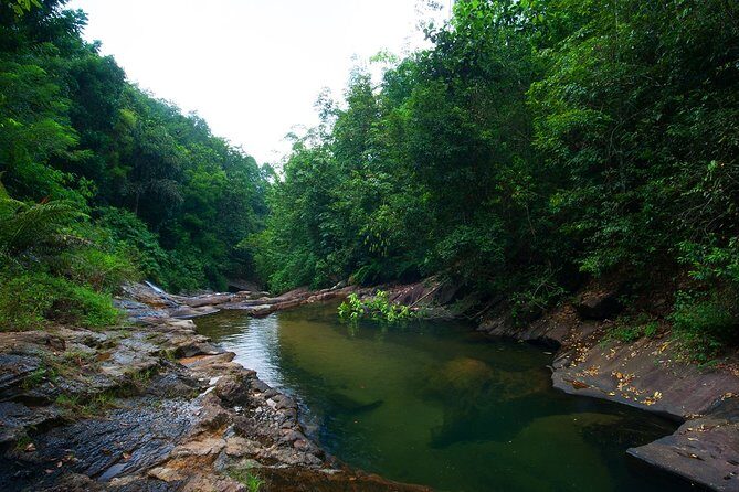 Birdwatching Forest Trek in Kitulgala from Colombo - Birdwatching Forest Trek in Kitulgala from Colombo — A Detailed Review