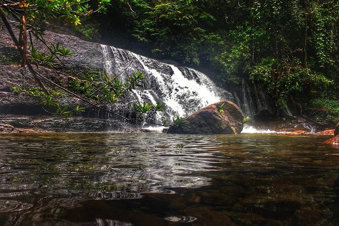 Birdwatching Forest Trek in Kitulgala from Colombo - Who Will Love This Tour?