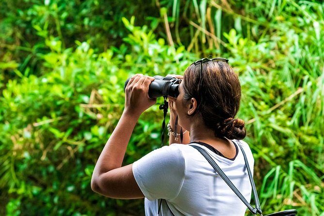 Birdwatching Forest Trek in Kitulgala from Colombo - The Sum Up