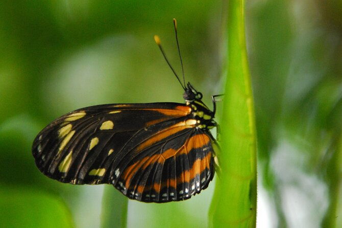 birdwatching-hiking-tour