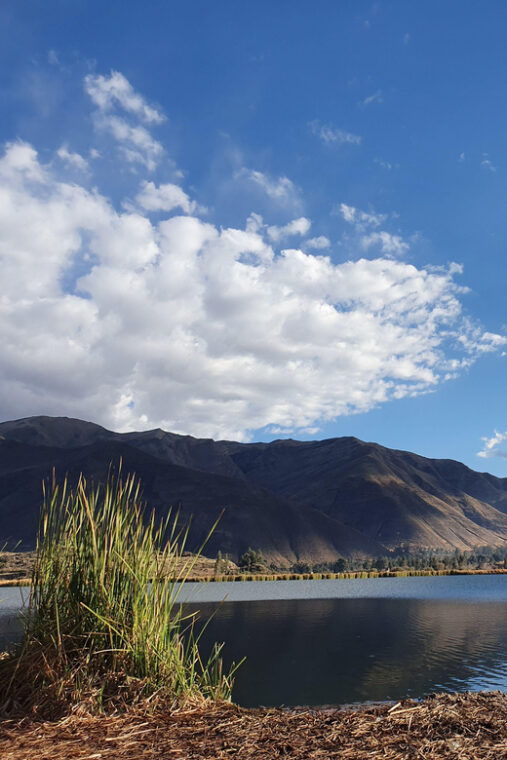 birdwatching-in-huacarpay-lake
