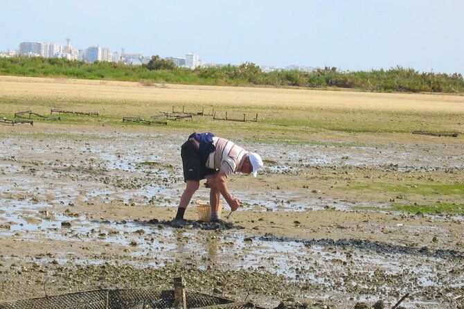birdwatching-in-ria-formosa-eco-boat-tour-from-faro