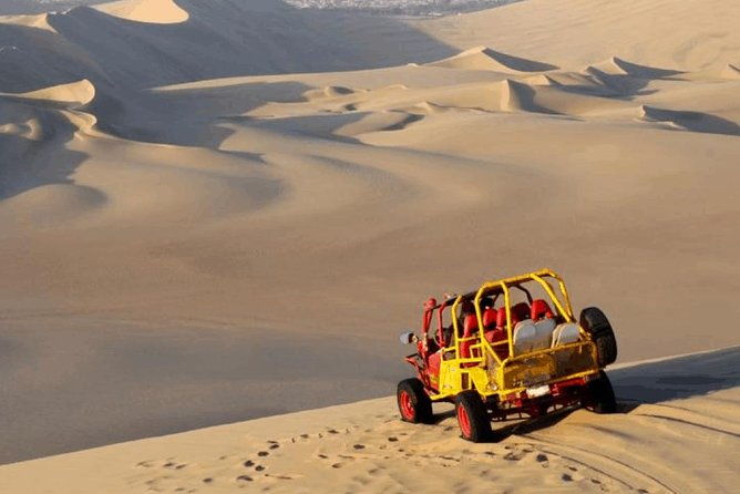 birdwatching-landscaping-tour-in-lima-2