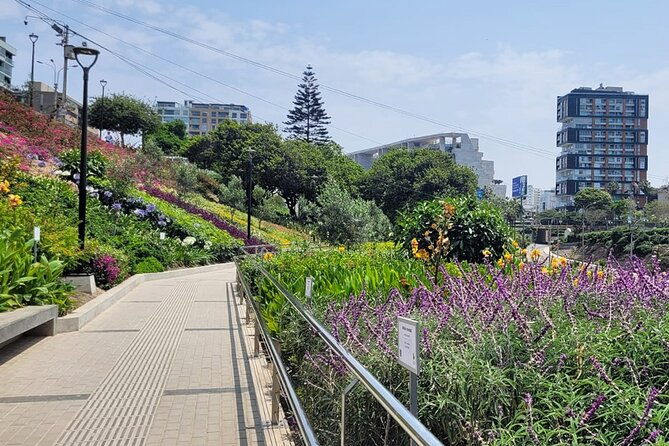 birdwatching-landscaping-tour-in-lima