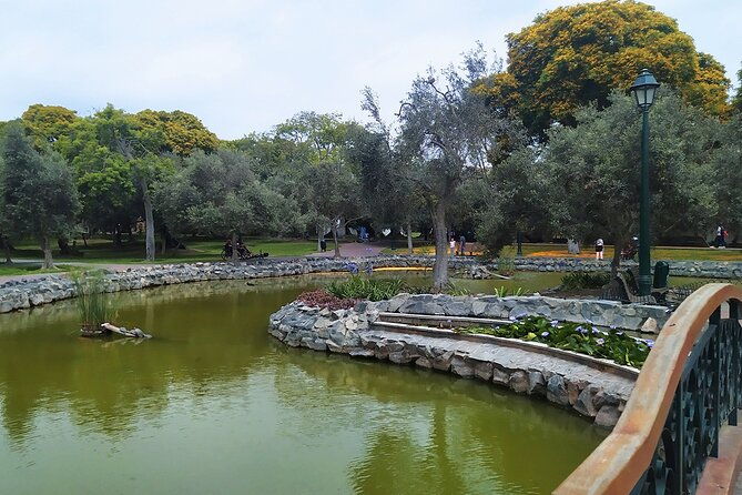 birdwatching-landscaping-tour-in-lima