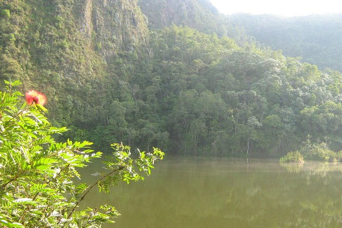 birdwatching-nature-day-florida-wetland-el-tabacal-lagoon-enchanted-garden