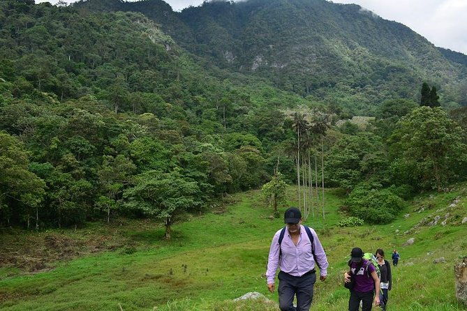 birdwatching-private-tour-at-chicaque-natural-park-with-lunch