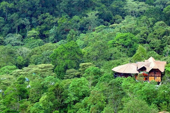 birdwatching-private-tour-at-chicaque-natural-park-with-lunch