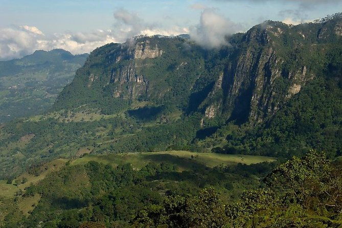 birdwatching-private-tour-at-chicaque-natural-park-with-lunch