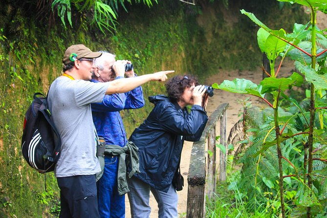 birdwatching-tour-via-gualaceo-to-the-eastern-slope-from-cuenca