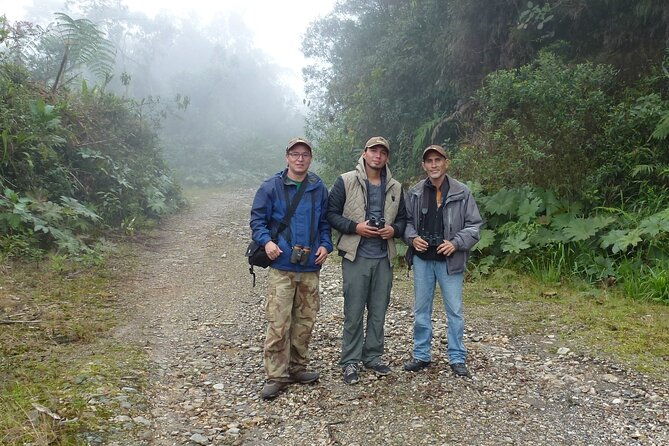 birdwatching-tour-via-gualaceo-to-the-eastern-slope-from-cuenca