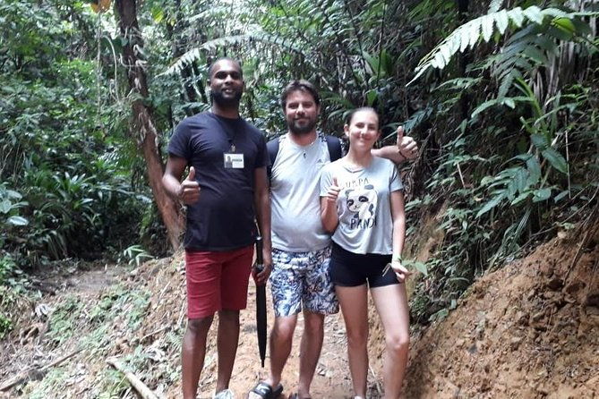 birdwatching-waterfall-rainforest-and-island-nature-tours