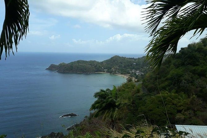 birdwatching-waterfall-rainforest-and-island-nature-tours