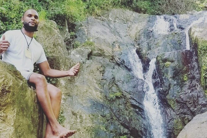 birdwatching-waterfall-rainforest-and-island-nature-tours