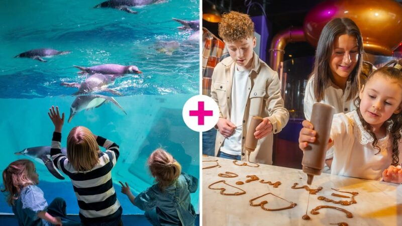 birmingham-cadbury-world-sea-life-birmingham
