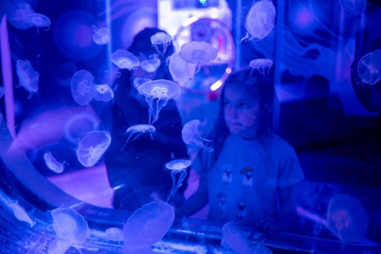 birmingham-cadbury-world-sea-life-birmingham