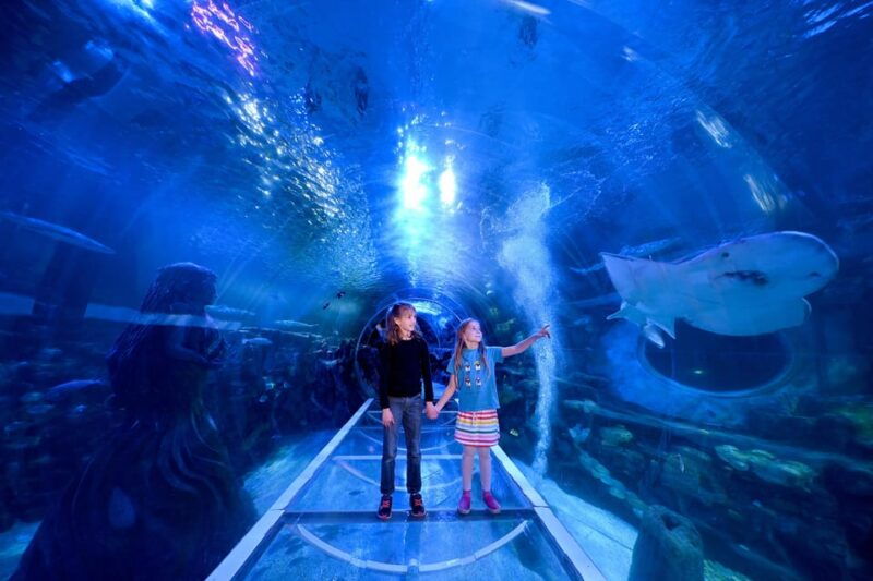 birmingham-cadbury-world-sea-life-legoland-discovery