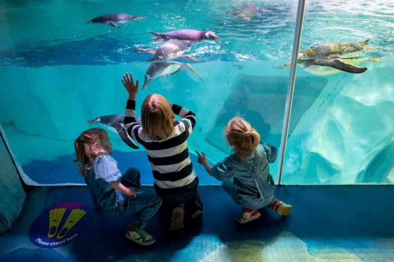 birmingham-cadbury-world-sea-life-legoland-discovery