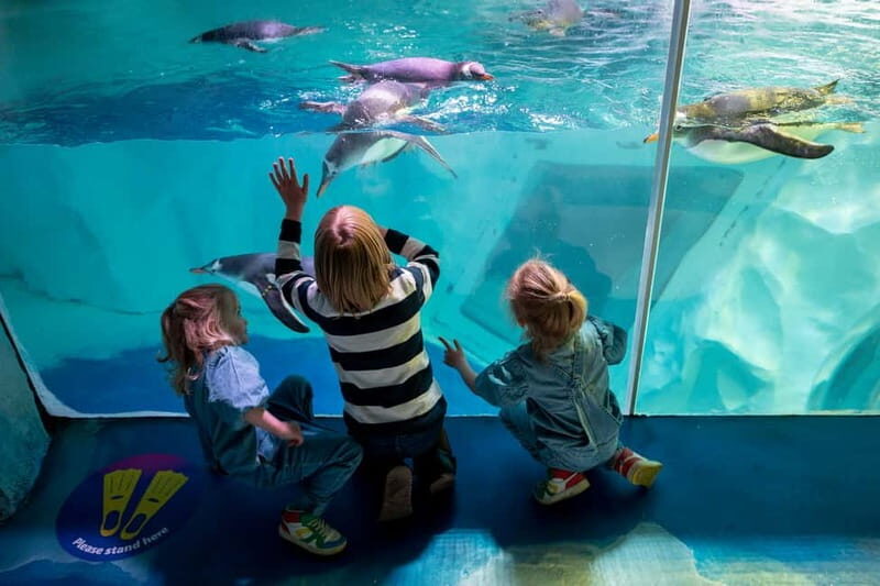 Birmingham: National Sea Life Centre Entrance Ticket - Key Points