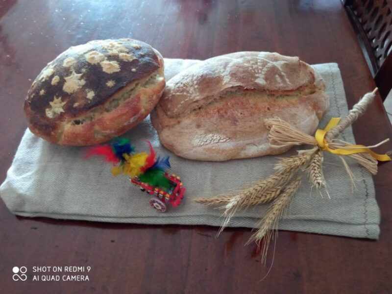 bisacquino-grandpa-mommos-mill-tour