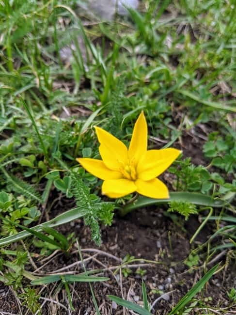 Bishkek: Ala-Archa and Alamedin Gorge Guided Tour - Final Thoughts