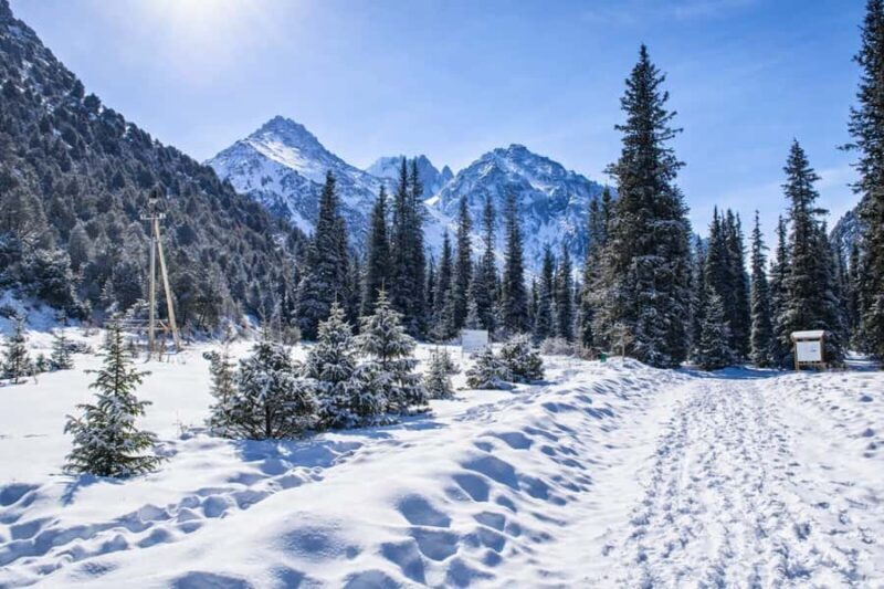 Bishkek: Ala Archa National Park & Chunkurchak Day Trip - Detailed Review of the Bishkek Ala Archa & Chunkurchak Day Trip