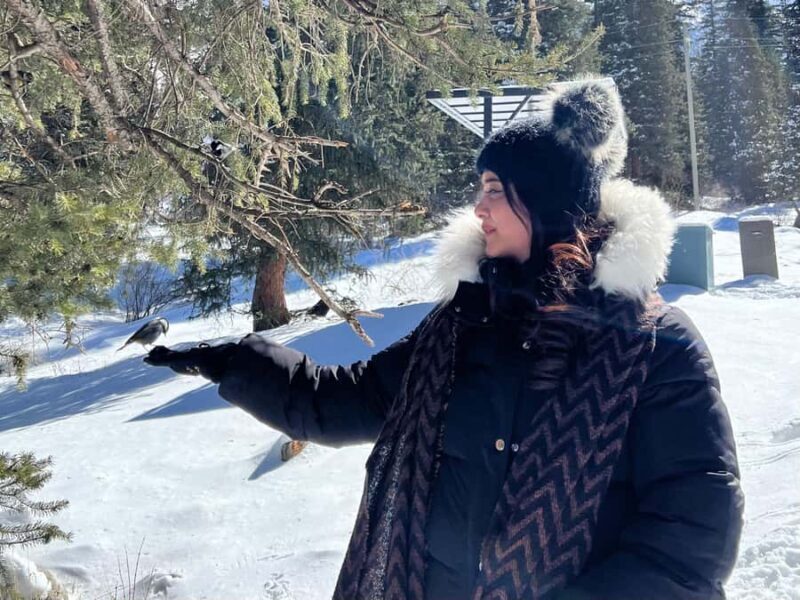 Bishkek: Ala Archa National Park & Chunkurchak Day Trip - The Sum Up