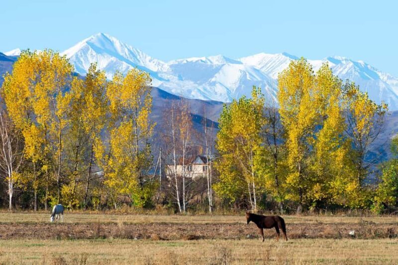 Bishkek: Chon Kemin & Issyk-Kul Lake guided day Tour - FAQ
