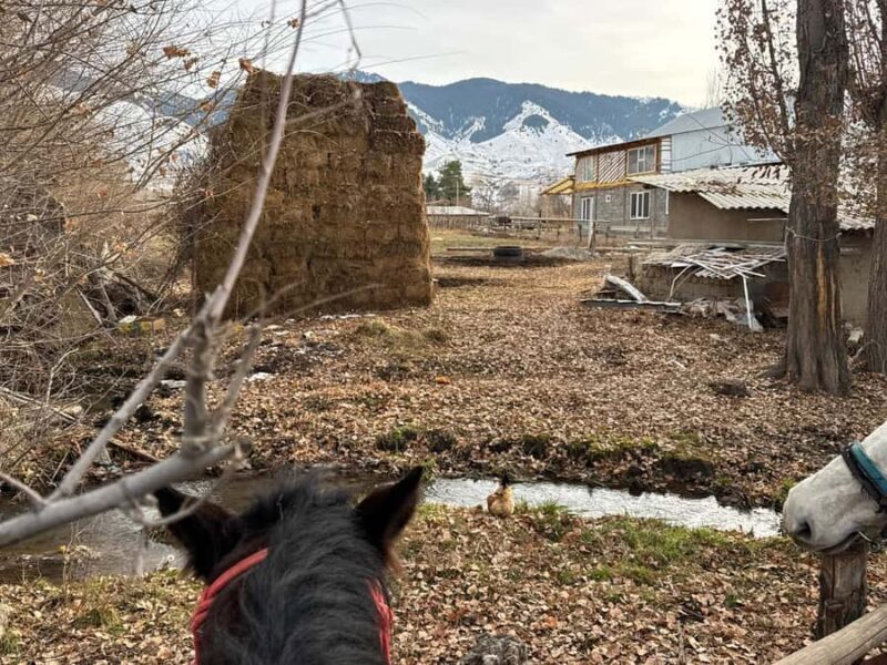 Bishkek : Chon-Kemin Valley Horseback Riding & Burana Tower - Who Should Consider This Tour?