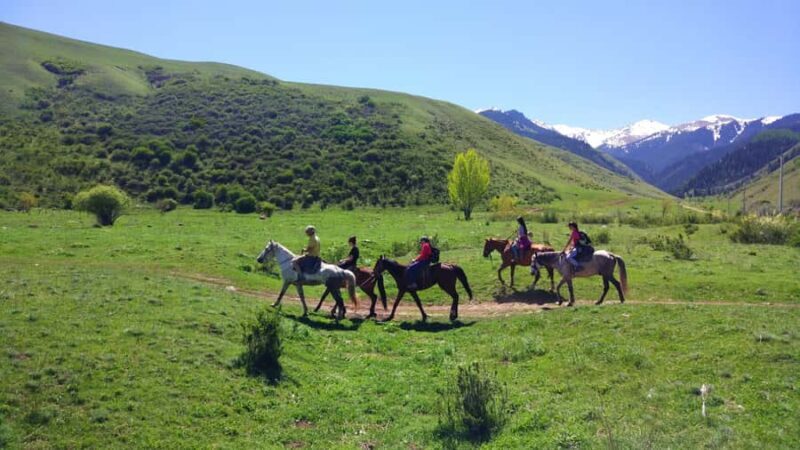Bishkek: Chon-Kurchak Gorge Tour with Horseback Ride and Tea - Practical Details and Tips