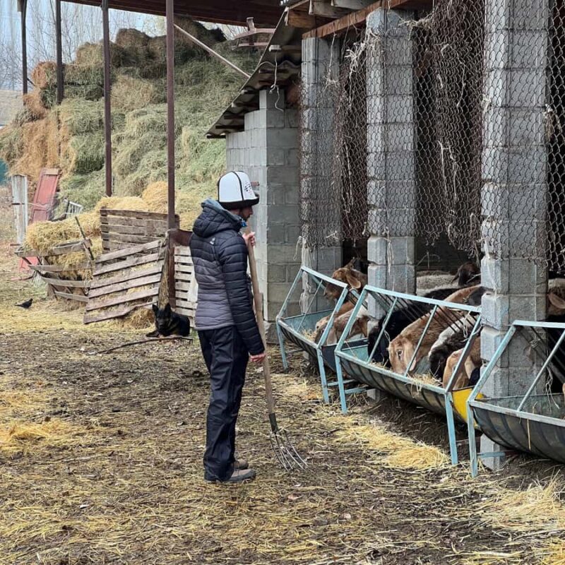 Bishkek: Horseback Ride & Shepherds Farm Cooking Experience - Key Points