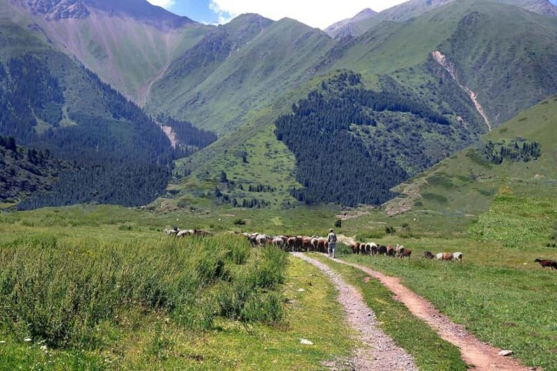 Bishkek: Shamsi Gorge Day Trip - Key Points