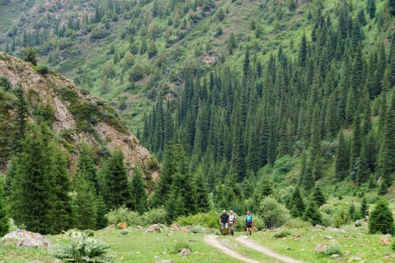 Bishkek: Shamsi Gorge Day Trip - What to Expect During the Tour
